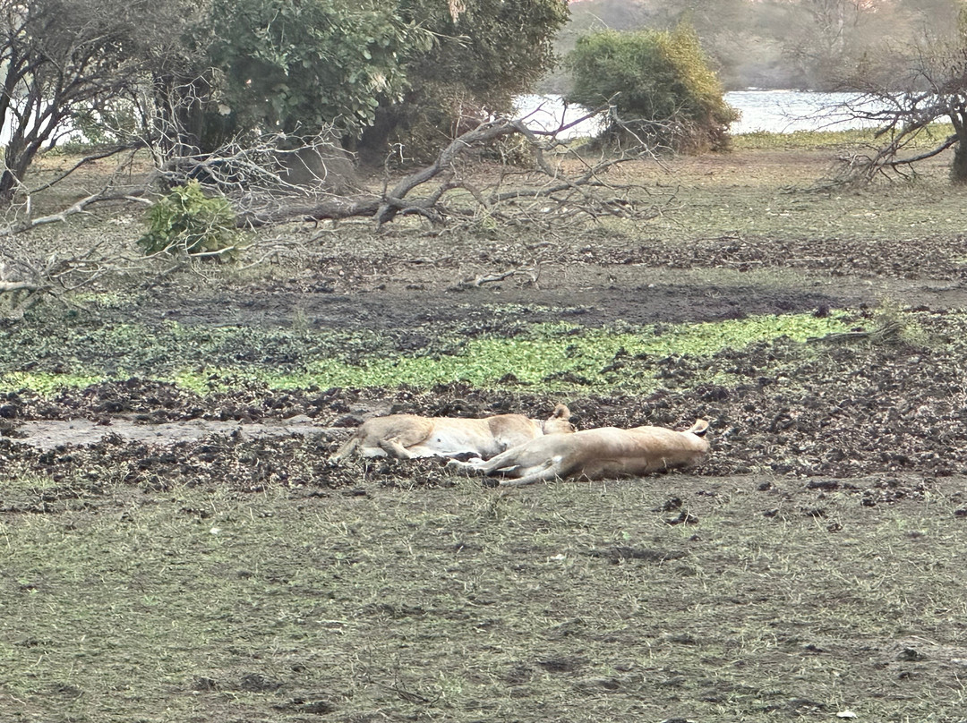 Orbis DMC-布兰岱必去景点