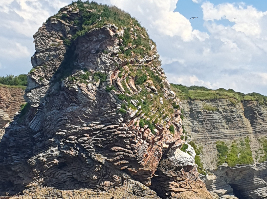 VVF Urrugne Saint-Jean-de-Luz Côte Basque主图