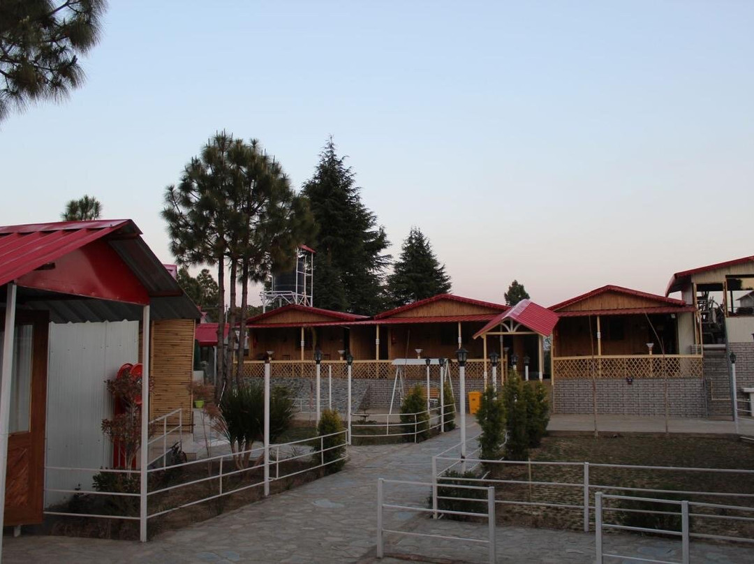 The Chail Heights