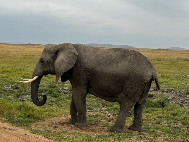 Meander Africa Safaris景点图片