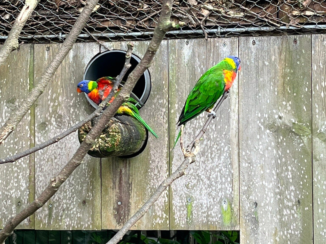 Zoo des Sables景点图片