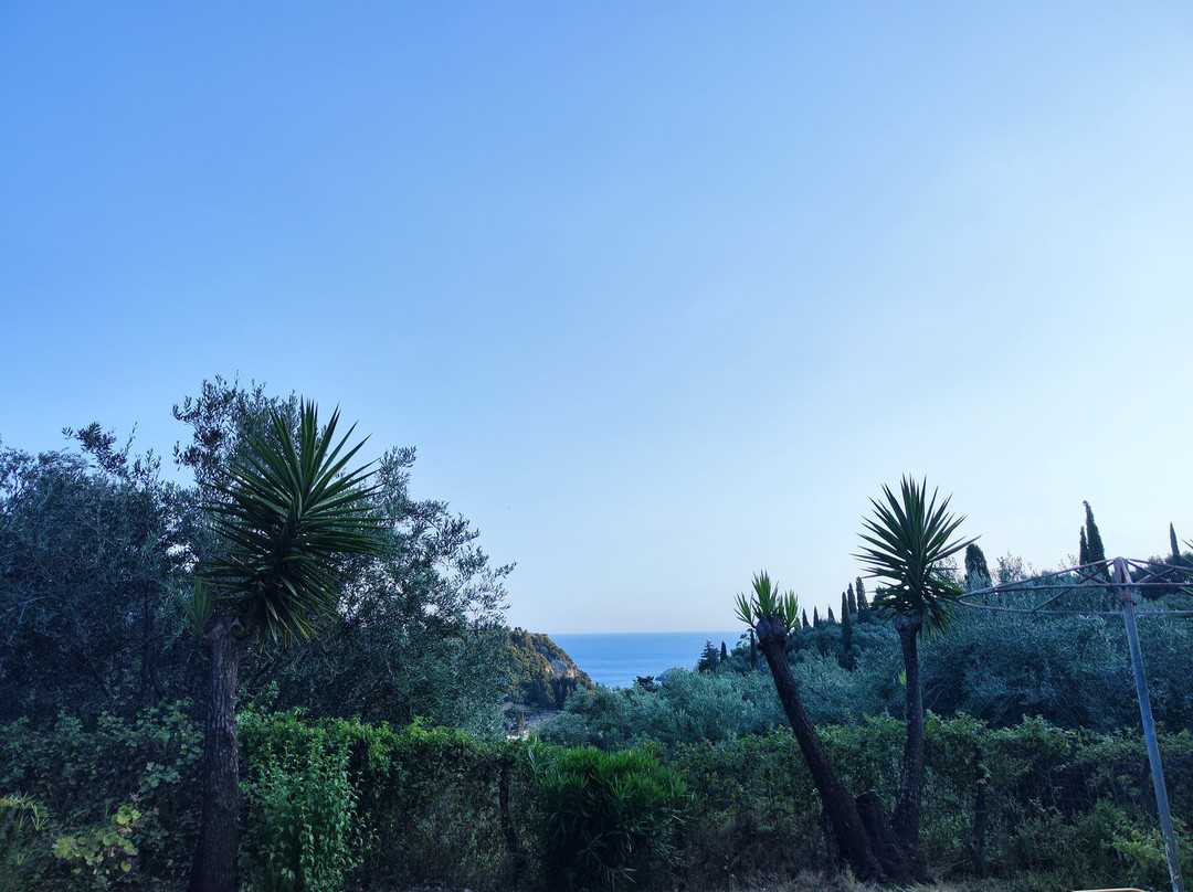 Ipsia Apartments主图