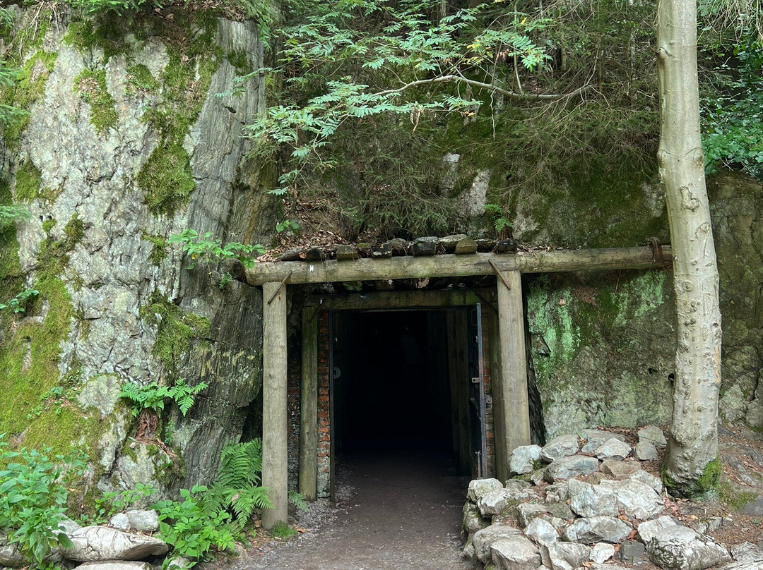 Underground Town Osowka景点图片