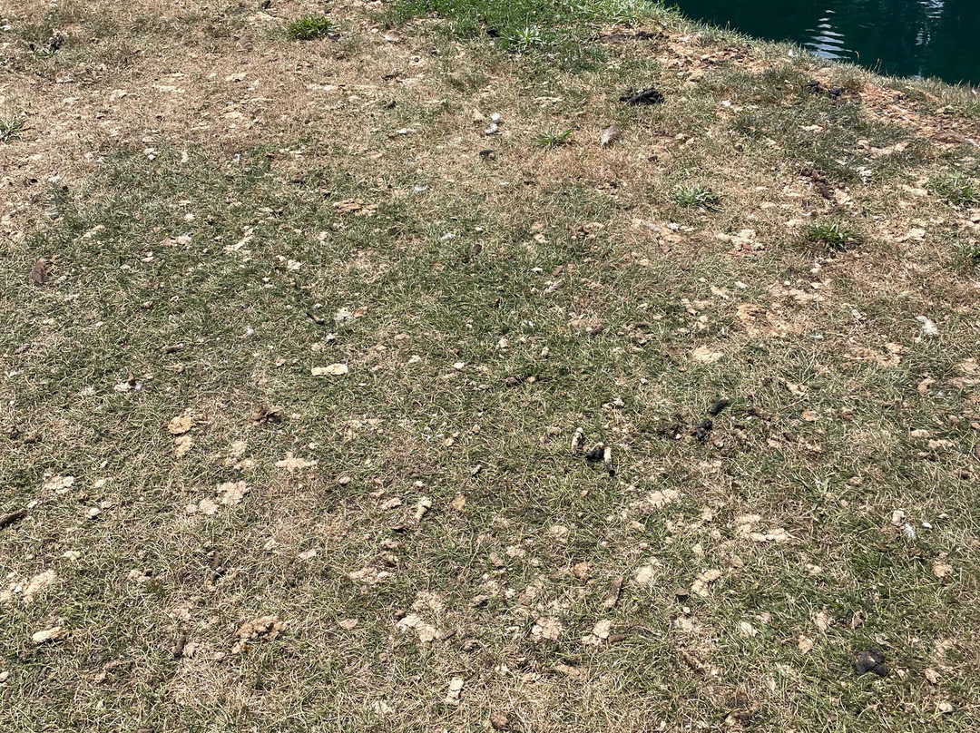 Neshaminy Valley Golf Club景点图片