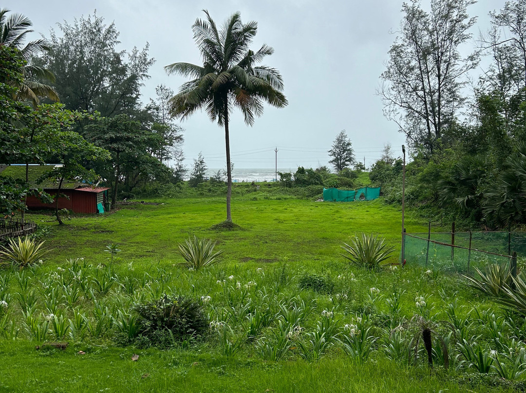 Lotus Eco Beach Resort Murud-Dapoli主图