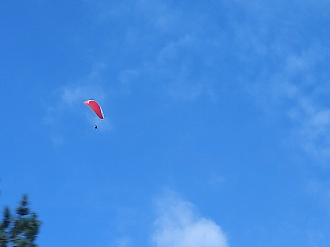 Yash Chopra Statue-因特拉肯必去景点