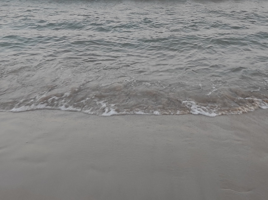 Platja Llarga景点图片
