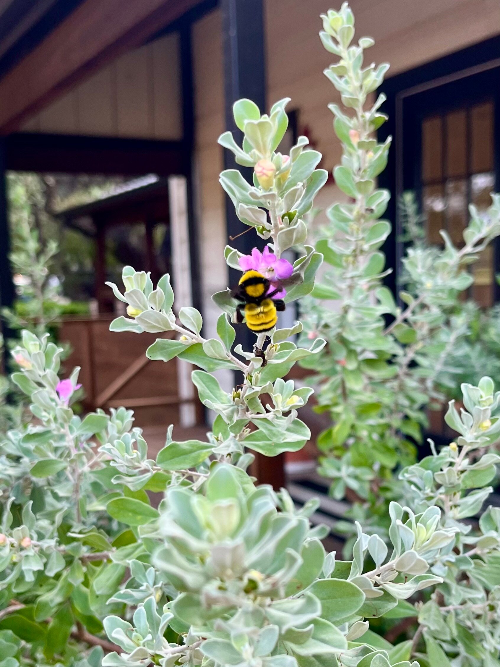 Wimberley Inn + Bar-浴室