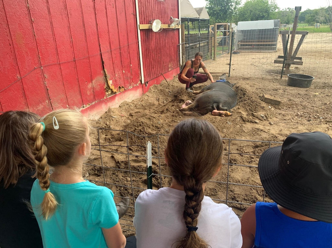 Hearts & Dreams Ranch & Retreat-Dade City必去景点