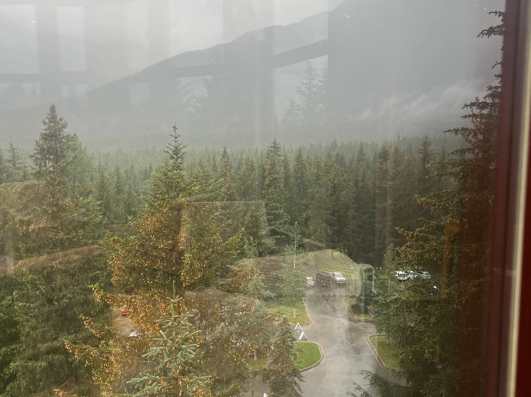 阿拉斯加酒店主图