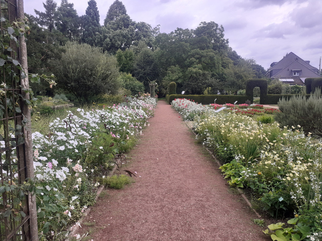 Botanischer Garten景点图片