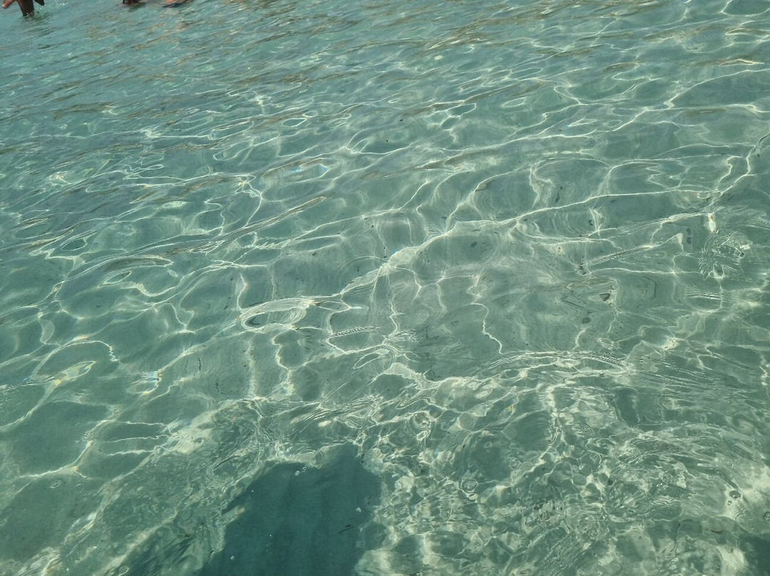 Scogliera Cala Azzurra景点图片