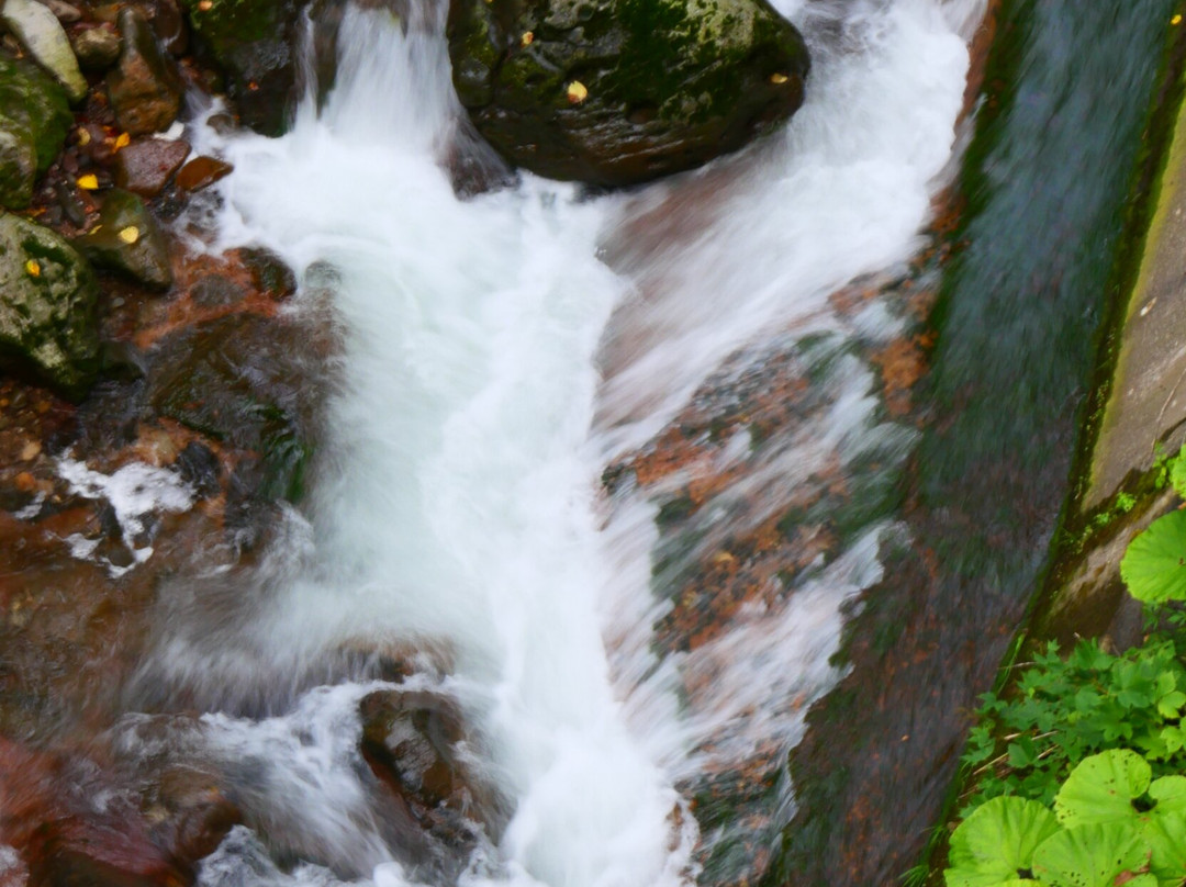 尼瑟克阿诗里酒店主图