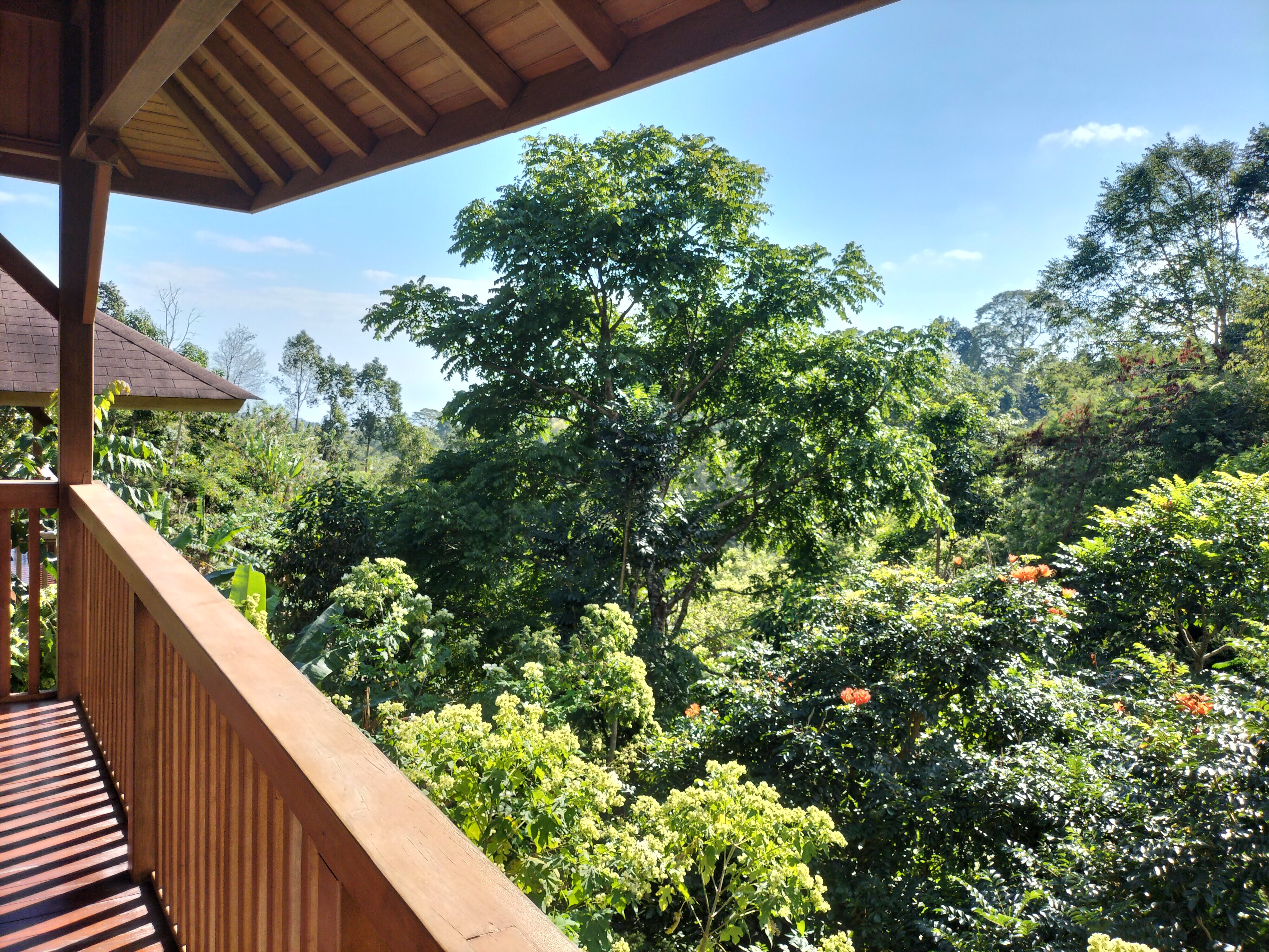 Giriwood Hotel & Villa-酒店景观