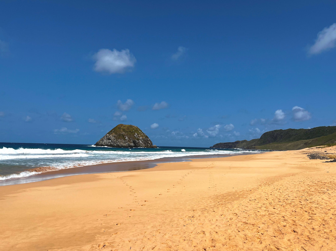 Leao Beach-费尔南多-迪诺罗尼亚群岛必去景点