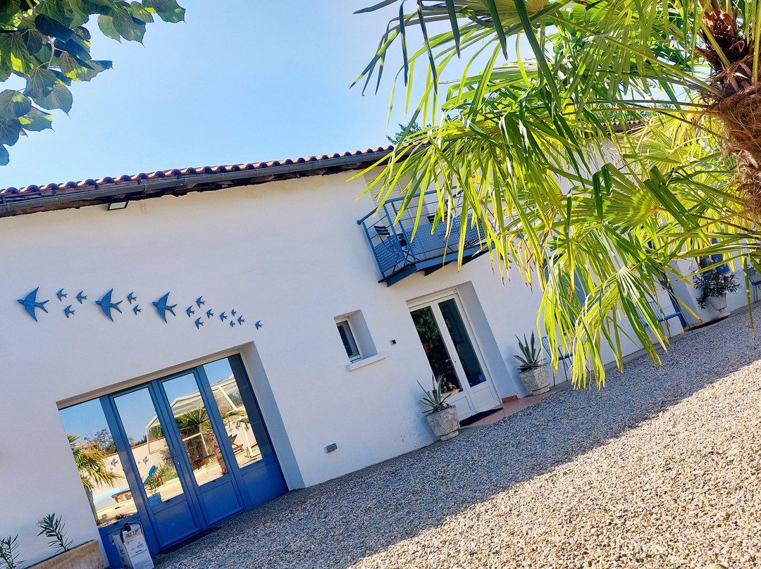 Douce France 82主图