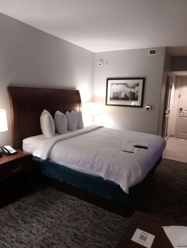 休斯敦/舒格兰希尔顿花园旅馆主图