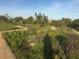 Jack Muller/ Danie Uys District Park, City Of Cape Town-Bellville必去景点