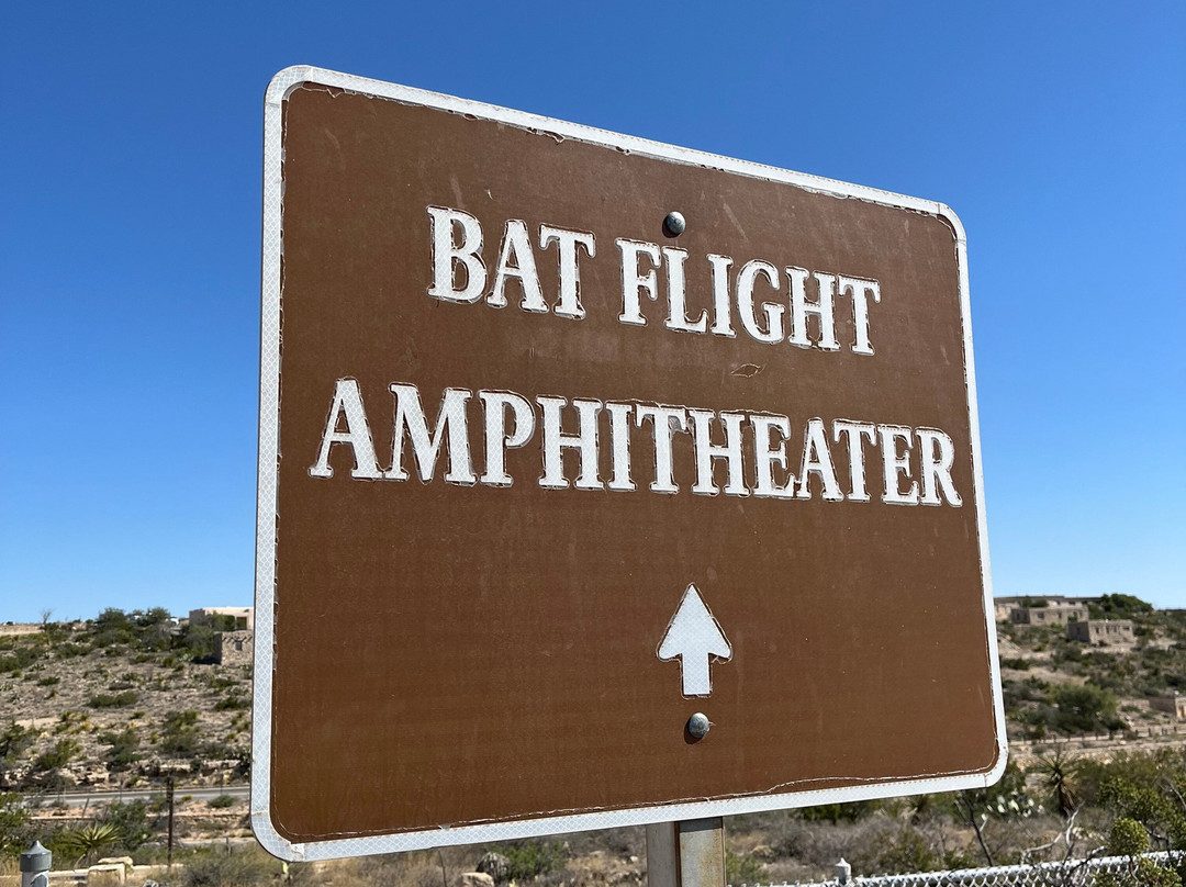 Bat Flight Program in Carlsbad Caverns National Park-卡尔斯巴德洞穴国家公园必去景点