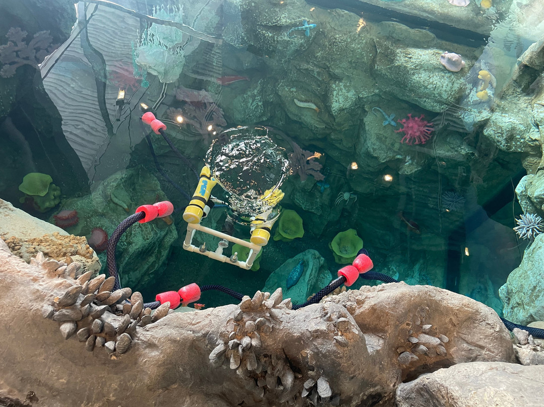 Monterey Bay National Marine Sanctuary Exploration Center-圣克鲁斯必去景点