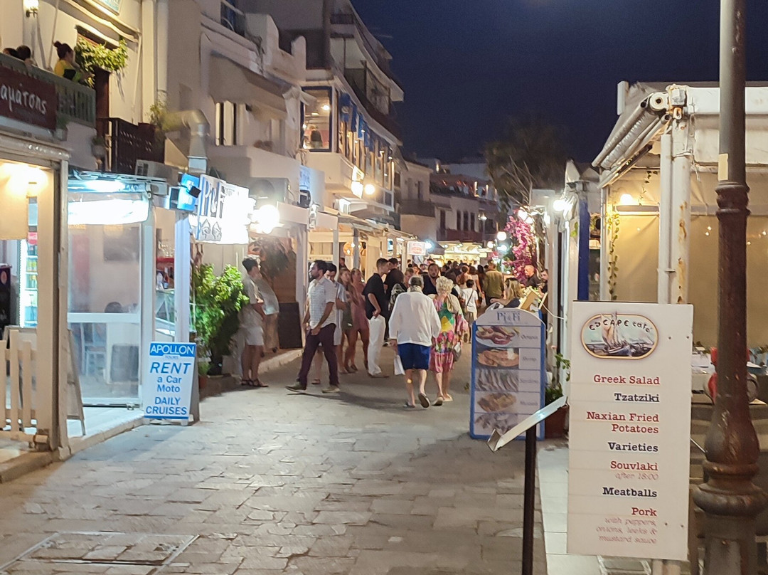 Port of Naxos-纳克索斯必去景点
