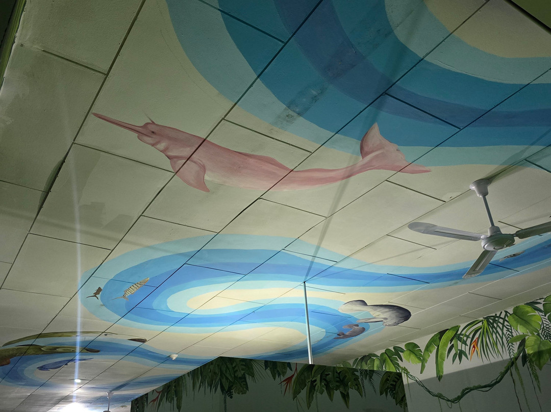 Aquarium Of The Amazon-伊基托斯必去景点