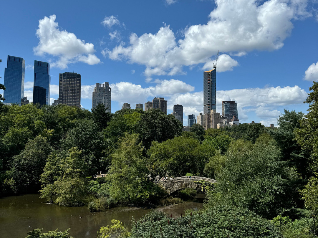 NYC Smart - Central Park pedicab tours-纽约市必去景点