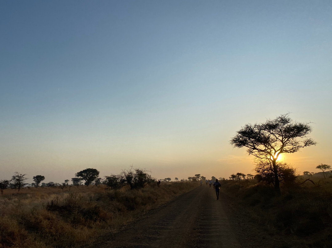 Serengeti Migration Marathon & Anti-Poaching Run-Mugumu必去景点