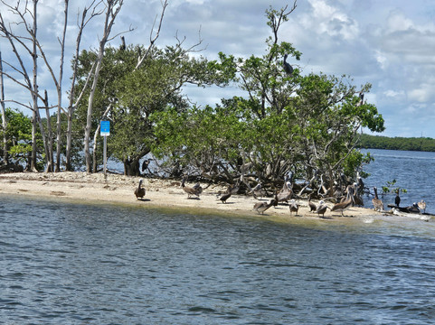 FAU Harbor Branch Oceanographic Institute-匹尔斯堡必去景点