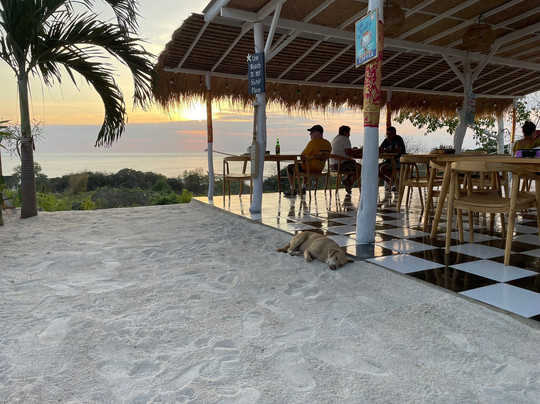 The Dafish Ceningan主图