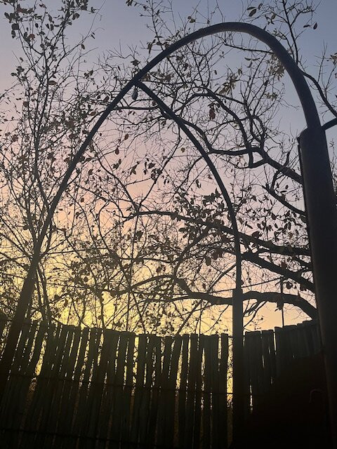 Ju/'Hoansi San Living Museum-Tsumkwe必去景点