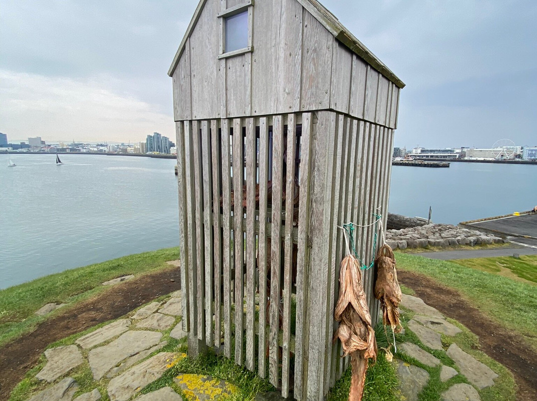 Thufa (þúfa)-雷克雅未克必去景点