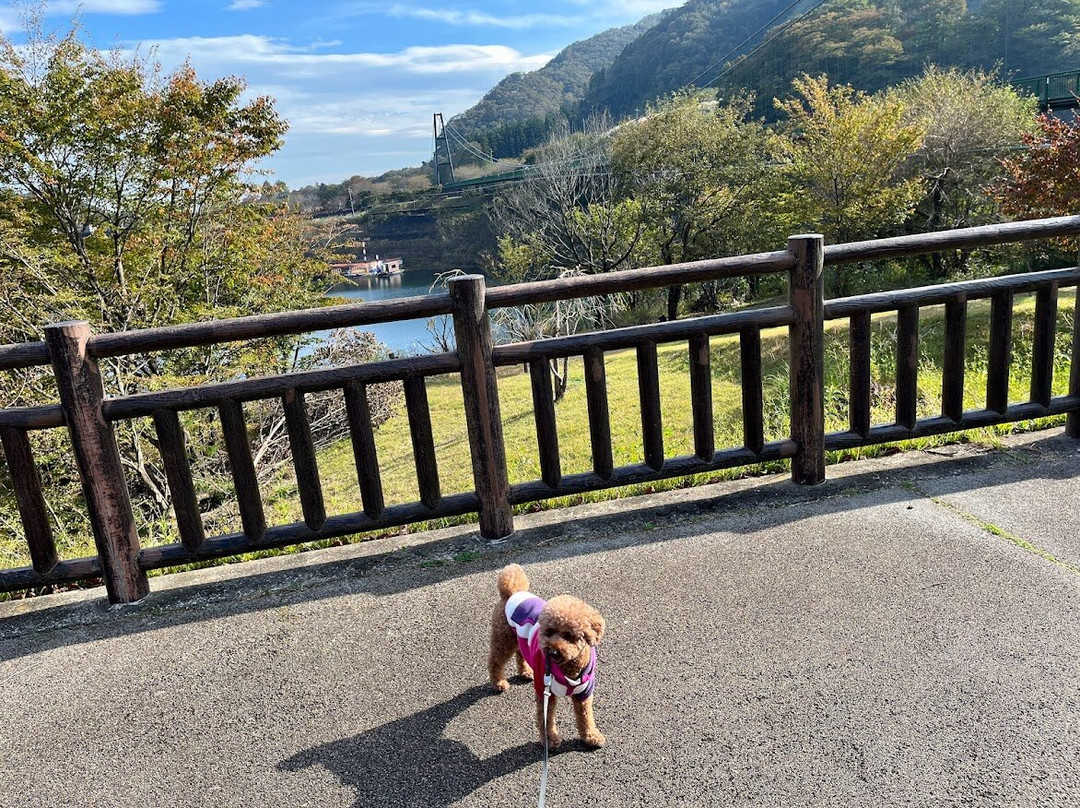 Momijidani Suspension Bridge-那须盐原市必去景点