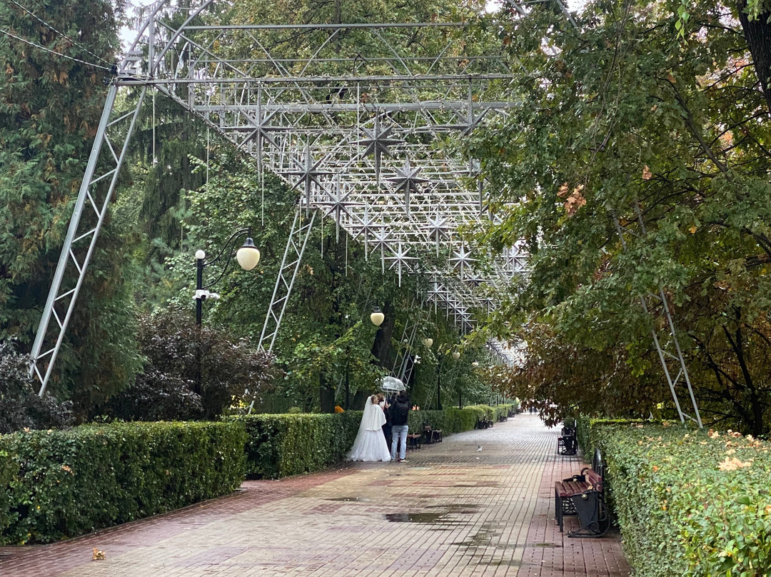 Koltsovskiy Park-沃罗涅什必去景点