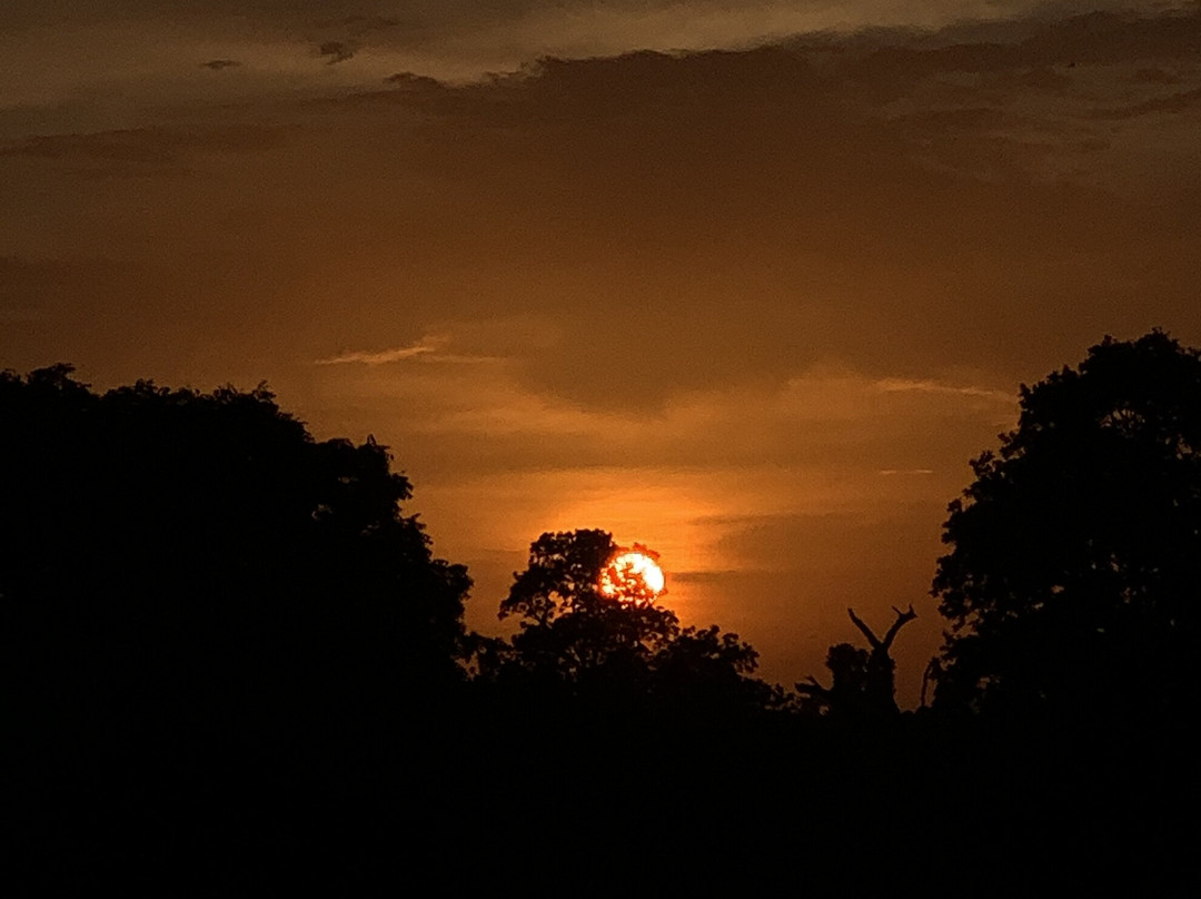 Udawalawa Wild Way Safari Tours-Kirindiwela必去景点