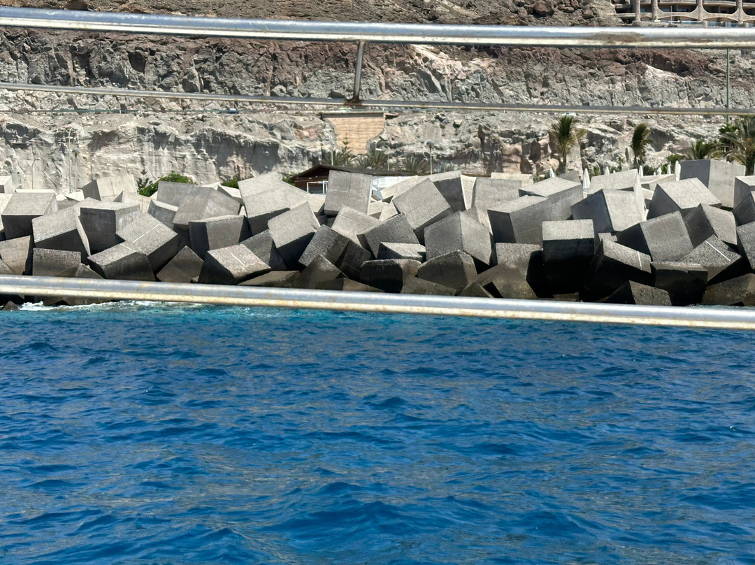 Blue Spirit Catamaran-马斯帕洛马斯必去景点