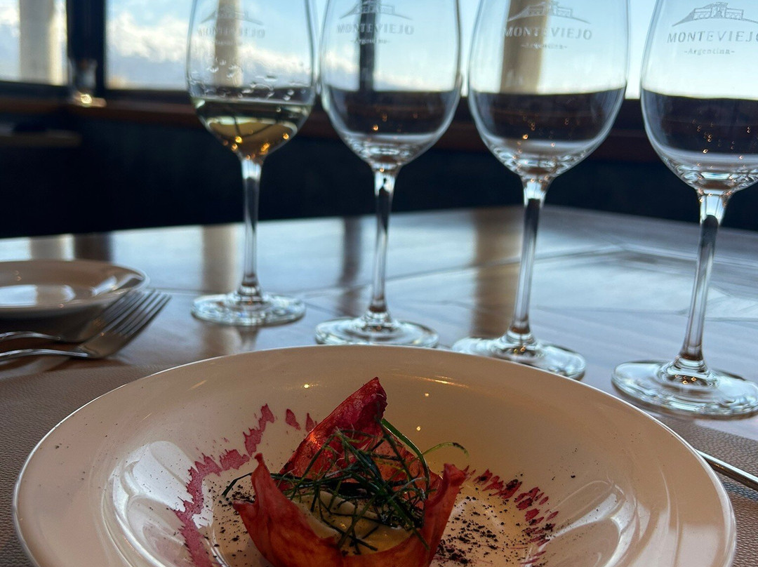 Bodega Monteviejo景点图片