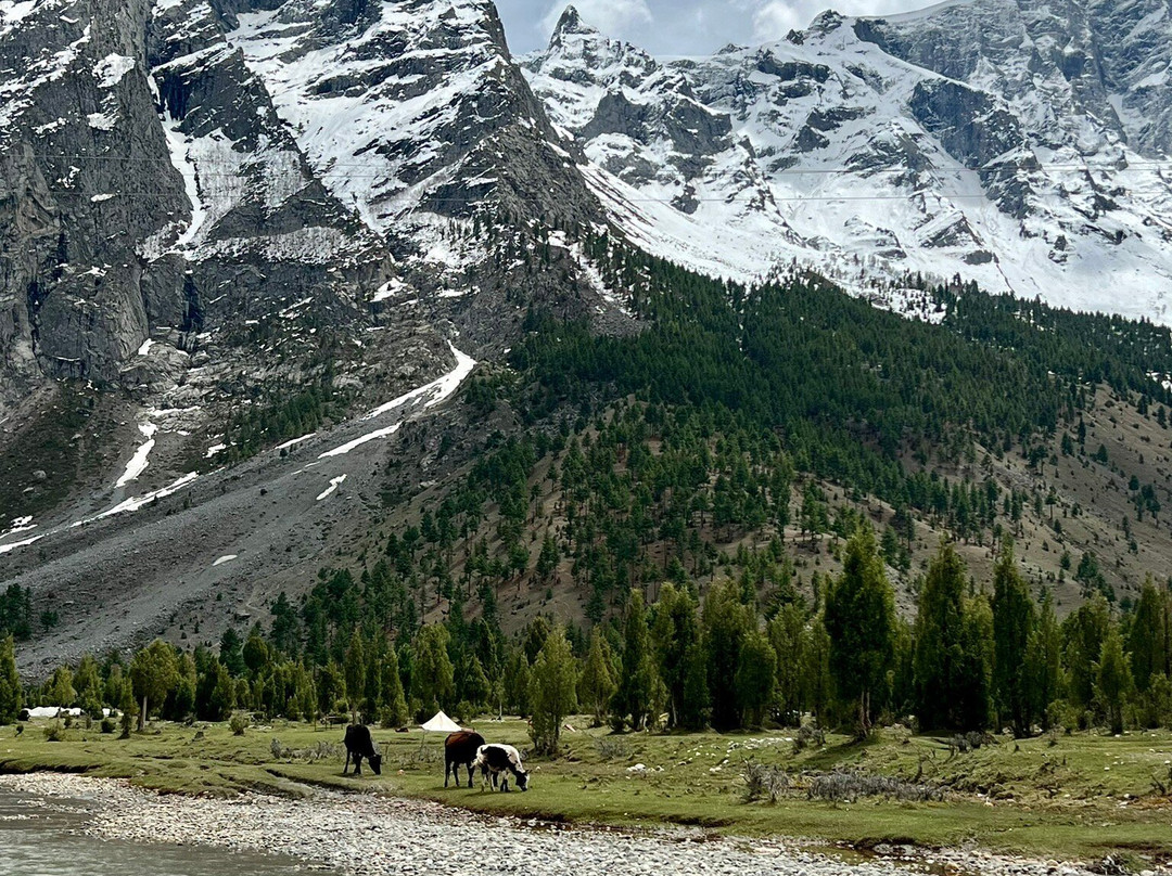 Basho Valley - Sultanabad Medow-Skardu必去景点