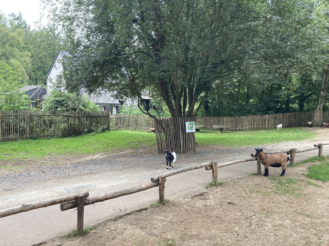 ZooParc de Trégomeur景点图片
