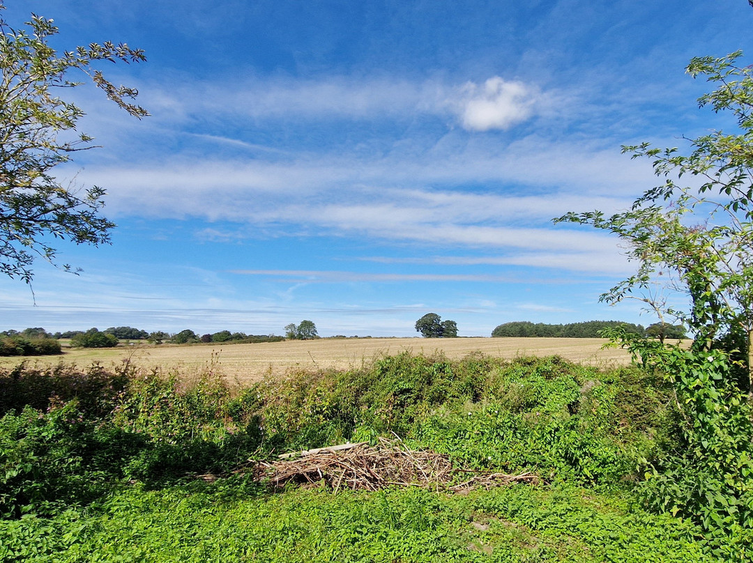 The Olde Windmill Inn主图