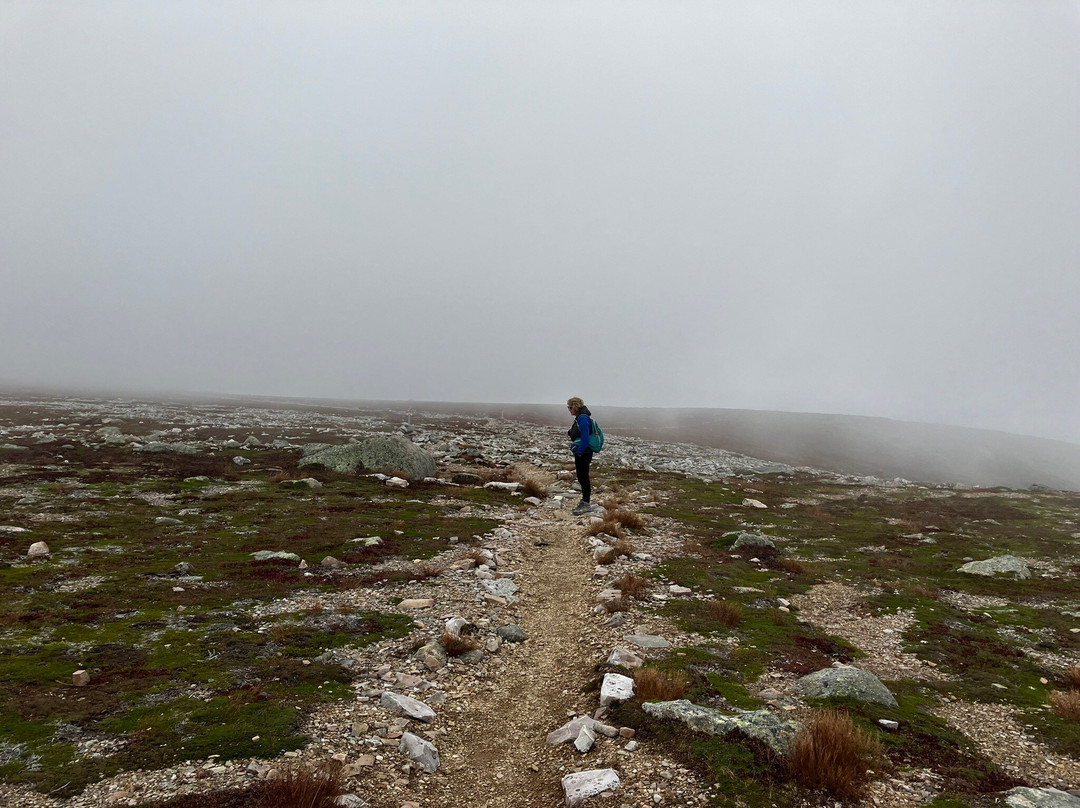 Gros Morne National Park景点图片
