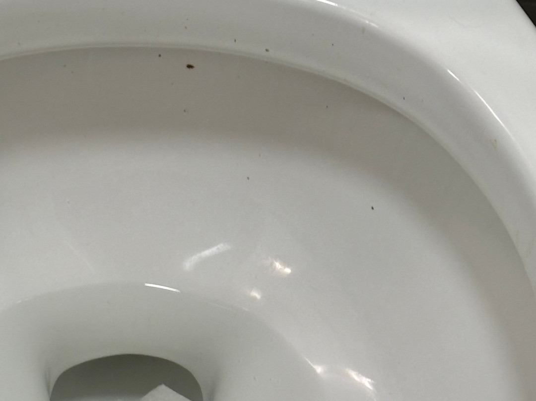 希尔顿花园旅馆拉皮德市主图