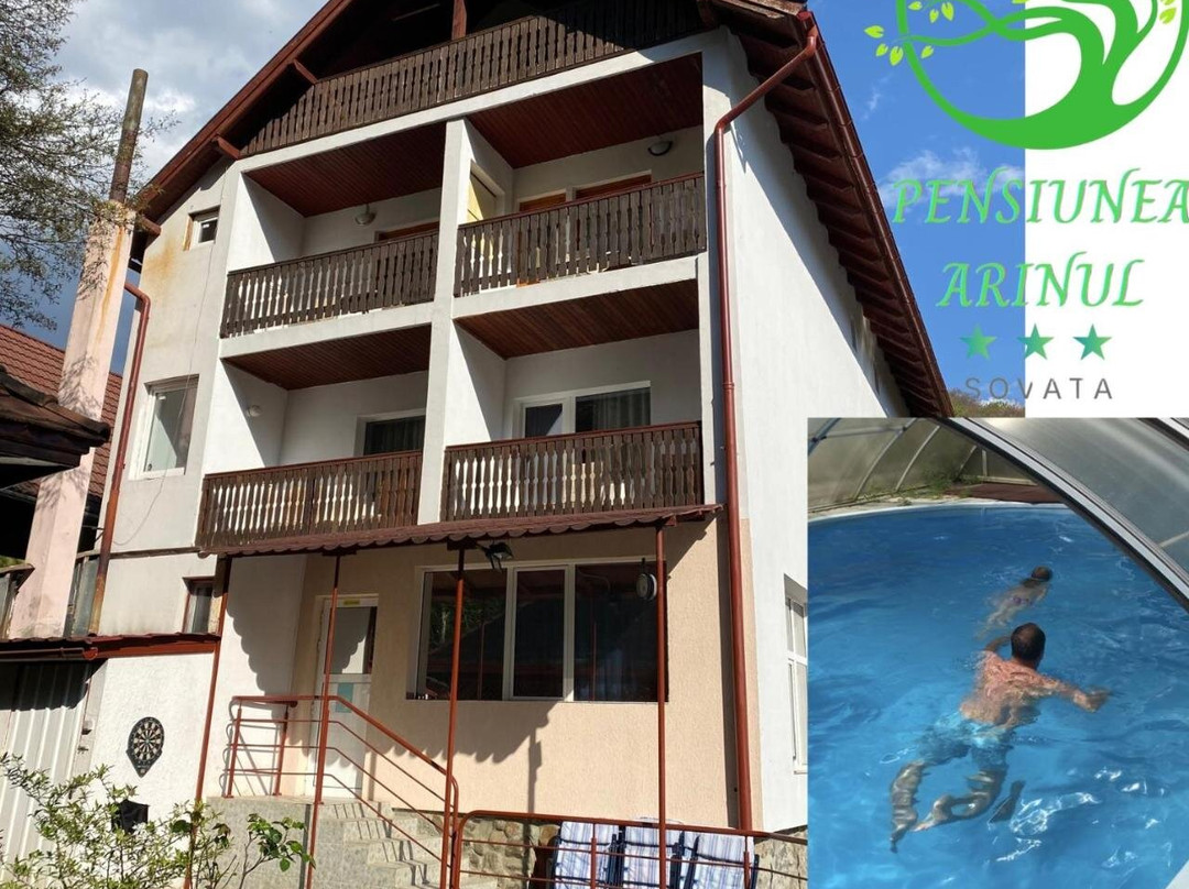 Pensiunea Arinul主图