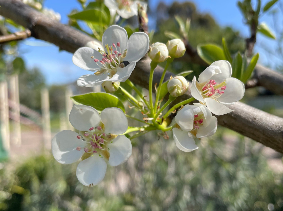 Birch Place Playground-塞尔必去景点