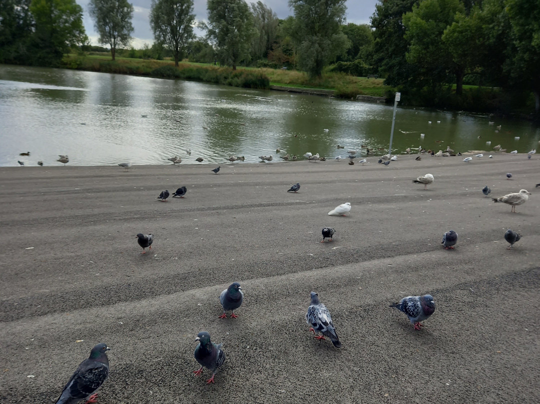 Apex Leisure & Wildlife Park景点图片