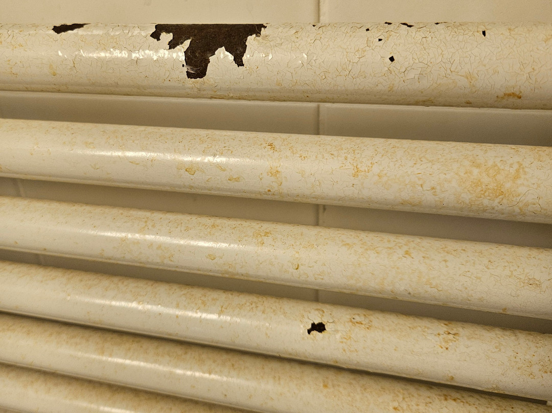 Hotel am Schloss主图