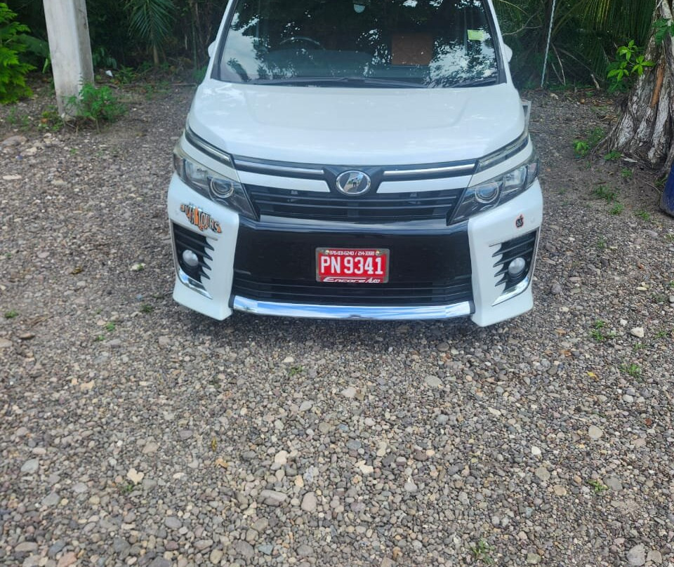 Shamar Quality Tour-Lucea必去景点