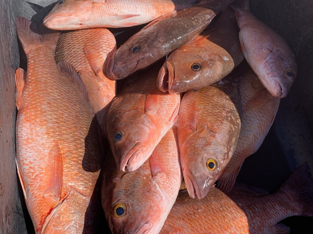 Sea Hag Marina & the Shacks at Sea Hag主图