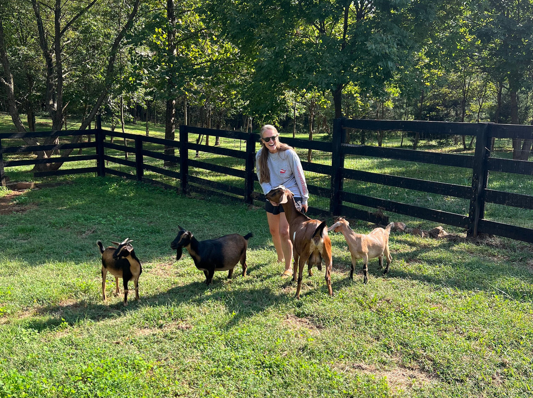 Mayhurst Estate主图