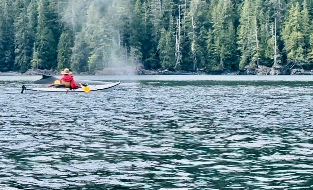 Ocean Sound Kayaking景点图片
